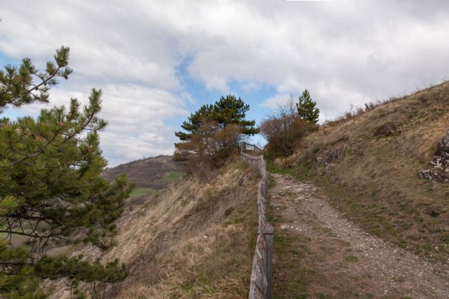 berceto