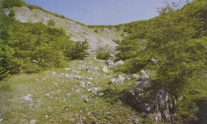 GIORNATA DEI SENTIERI LIGURI- Alta Via dei Monti Liguri – Tappa 36 – Dal Passo Cento Croci al Monte Ventarola